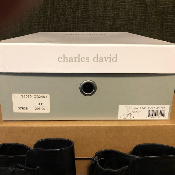 Charles David Platform Boot (Intuit) - Picture 6 of 6